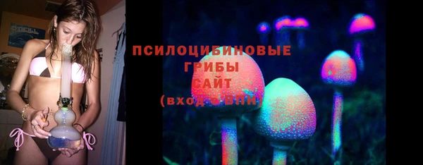 героин Михайлов