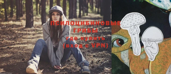 героин Михайлов